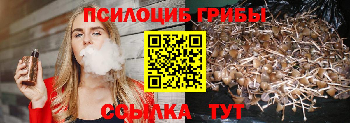 Сорочинск  Псилоцибиновые грибы GOLDEN TEACHER  Вход с VPN 